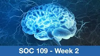 SOC109 Неделя 02
