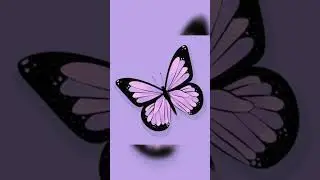 Colourful butterfly!! #colors #shorts #ytshorts #colour shorts