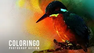 FREE Coloringo Photoshop Action Tutorial | Walllow