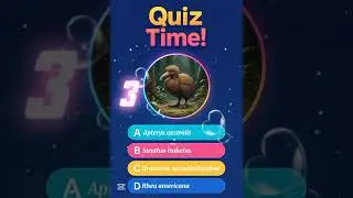 Kiwi bird scientific name. #shorts #kiwi #birds #kiwibird