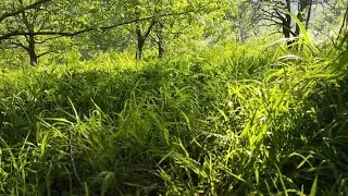 beautiful orakzai||dabori orakzai agency||kpk natural beauty