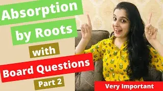 Absorption by Roots The process Involved Class 10 ICSE Biology Chapter 4 with Board Questions Part 2