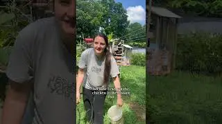 #homesteading my way to a second bathroom #homemaking #oneincome