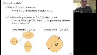 Large N theory of critical Fermi Surfaces - Ilya Esterlis (Harvard)