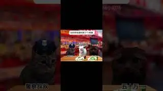 當你食飯時捉到間諜 #貓meme #cat #貓咪日常 #搞笑 #funny