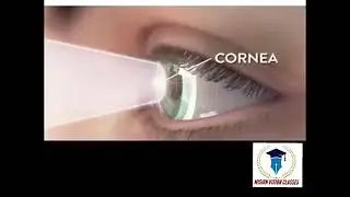 How the Eye Modulates Vision | Explained with Animation