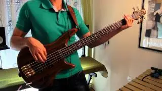 Nina Pu&scaron;lar - Ni ona ( Bass cover)