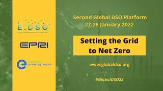 2nd Global DSO Platform - Session 3 (28 January 2022)