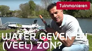 Planten water geven in de zon? Mag dat of verbranden ze dan?
