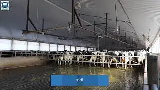 Smart Gate - Madero Dairy Systems