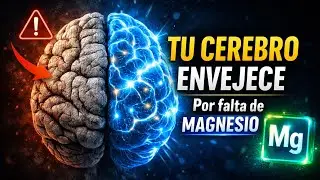 Tu Cerebro se est&aacute; Oxidando: El Mineral que detiene el Envejecimiento Mental