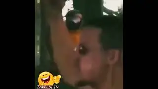 The Bird Dance 🤣