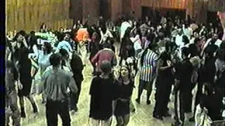 Lion zabava ve vitkove rok 2002