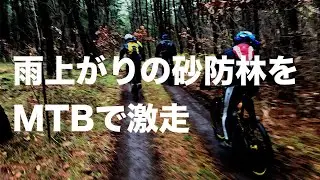雨上がりの砂防林をMTBで激走 #MTBtrailRide #トレイルライド
