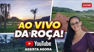 Um Pedaço da Roça AO VIVO 🌾 | Paz, Natureza e Bate-papoVem passar um tempo comigo ao vivo