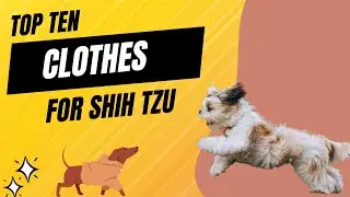 Top ten clothes for Shih Tzu | The 10 Best Clothes for Your Furry Friend | Pet Knowledge Zone #dogs