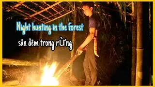 survival instinct - hunt rock frogs in the deep forest - #17