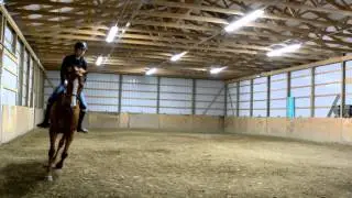 Bareback Dressage || All My Friends