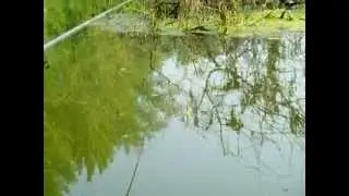 plovak trza li trza