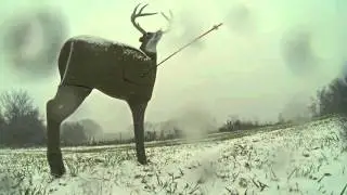 GlenDel Buck - biggest and toughest in the universe