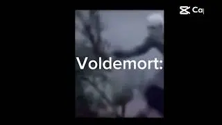 FR THOUGH 😂 😂 #funny #fyp #voldemort #nose #google