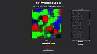 Self-Organizing Map: Project Showcase