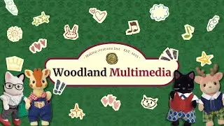Woodland Multimedia | Network Design for a Multimedia Lab