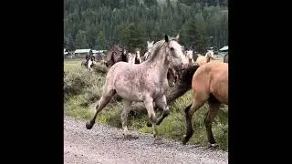 The Triangle X Dude Ranch in Jackson Hole, Wyoming.