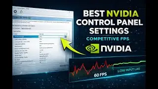 Best NVIDIA Control Panel Settings for Competitive FPS