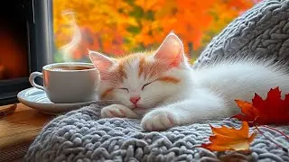 Soothing Music for Anxious Cats 🐾 Calming Sound & Cozy Atmosphere for Relaxation and Deep Sleep