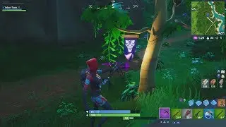 WEEK 6 SECRET BANNER SEASON 8 LOCATION GUIDE! - Fortnite Find the Secret Banner in Loading Screen 6