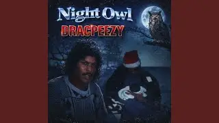 Night Owl