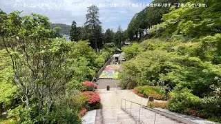 三室戸寺 あじさいアート2025の製作にお邪魔しました。 / あめちゃんアート2025の製作しちゃいました。