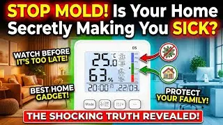 How to use BTHT02 Digital Thermometer Hygrometer | BlackT Electrotech