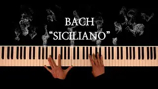 Final Notes of 2025 – Bach 