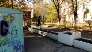 палыч