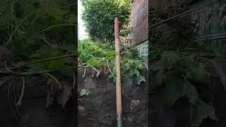 Leaky chimney chute door exterior openings below grade previously done half azzed SCS