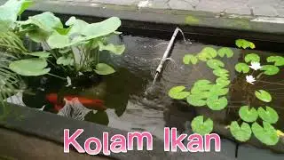 GUEST HOUSE GRAHA CIUMBULEUIT OYO 295//TERBARU MEI 2022