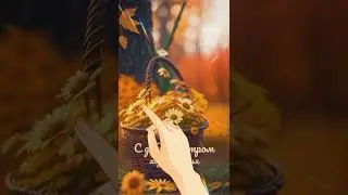 С добрым утром понедельника. Удачной недели!