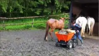 Motoschubkarre Muck-Truck auf dem, nach tagelangem Regen,  tief verschlammten Paddock,