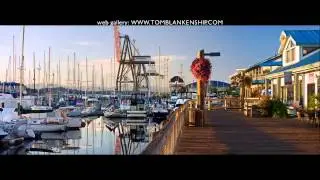 An evening panorama of Percival Landing in Olympia, Washington