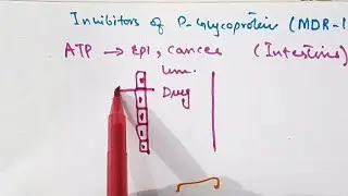 Determinants|Enzyme induction|Enzyme inhibition|p-glycoprotein transport|Amphetamine Toxicity