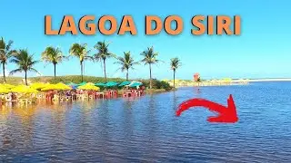 🦀Lagoa do Siri em Marata&iacute;zes