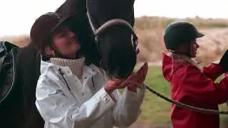FROM THIS IS FARMERRAIN, HORSE IN THE RAIN
