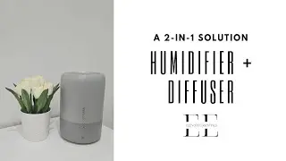 EVER WONDERED THE DIFFERENCE BETWEEN HUMIDIFIER AND DIFFUSER? LET'S DIVE IN!