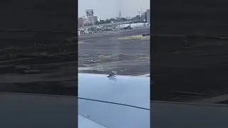 Pigeon Surprised by Planes High Speeds || ViralHog