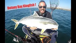 How to catch Botany Bay KINGFISH with poddy mullet & pilchard