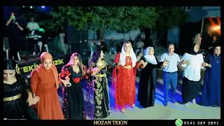 HOZAN TEKİN - Yarka Mıne Sebra Mıne - Yeni Segavi Halayı Mersin