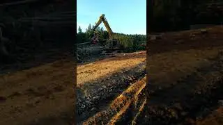 Faena forestal mecanizada chile 🌲 procesador de cabezal komatsu y trineumatico tecfor
