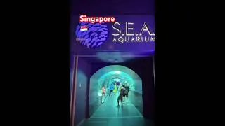 A Quick Visit of Singapore 🇸🇬 very interesting places #motivation #amazing #youtubeshorts #viral ￼